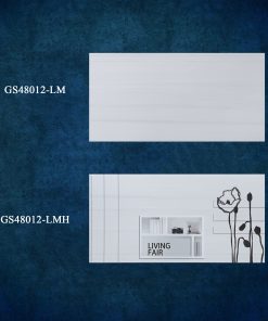 GS48012