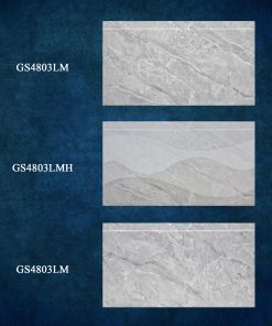 GS4803