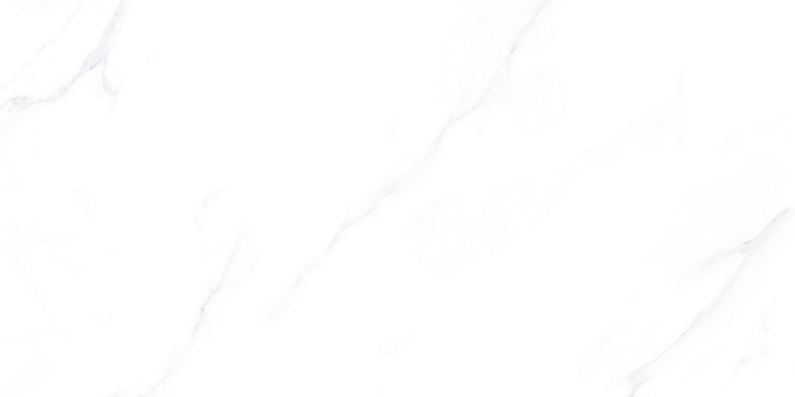P368129R
