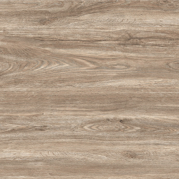 P65056SH