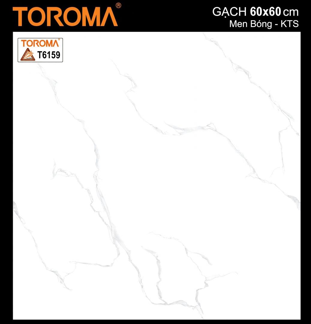 T6159