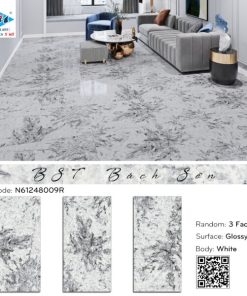 N61248009R