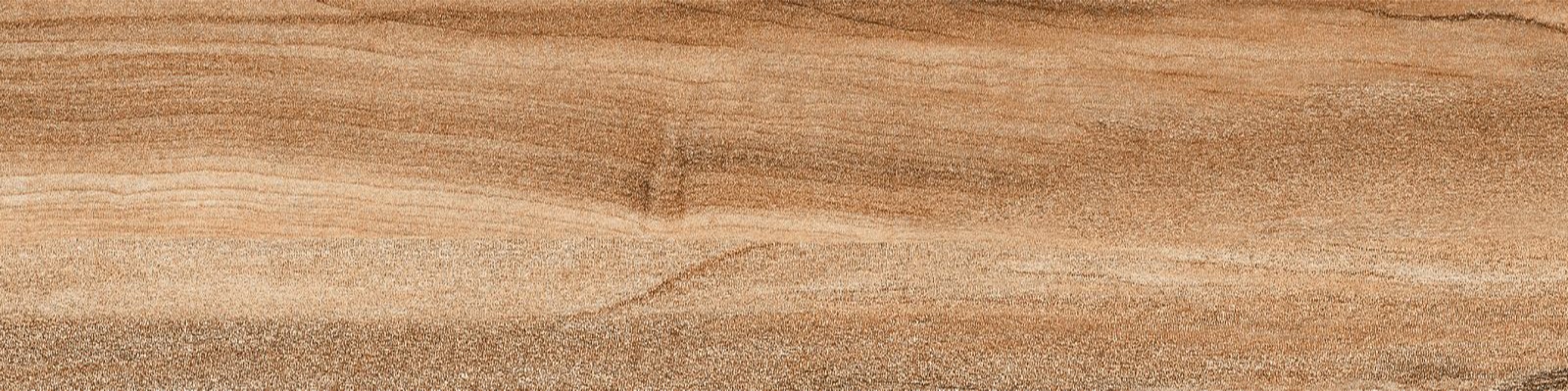 P1585005C