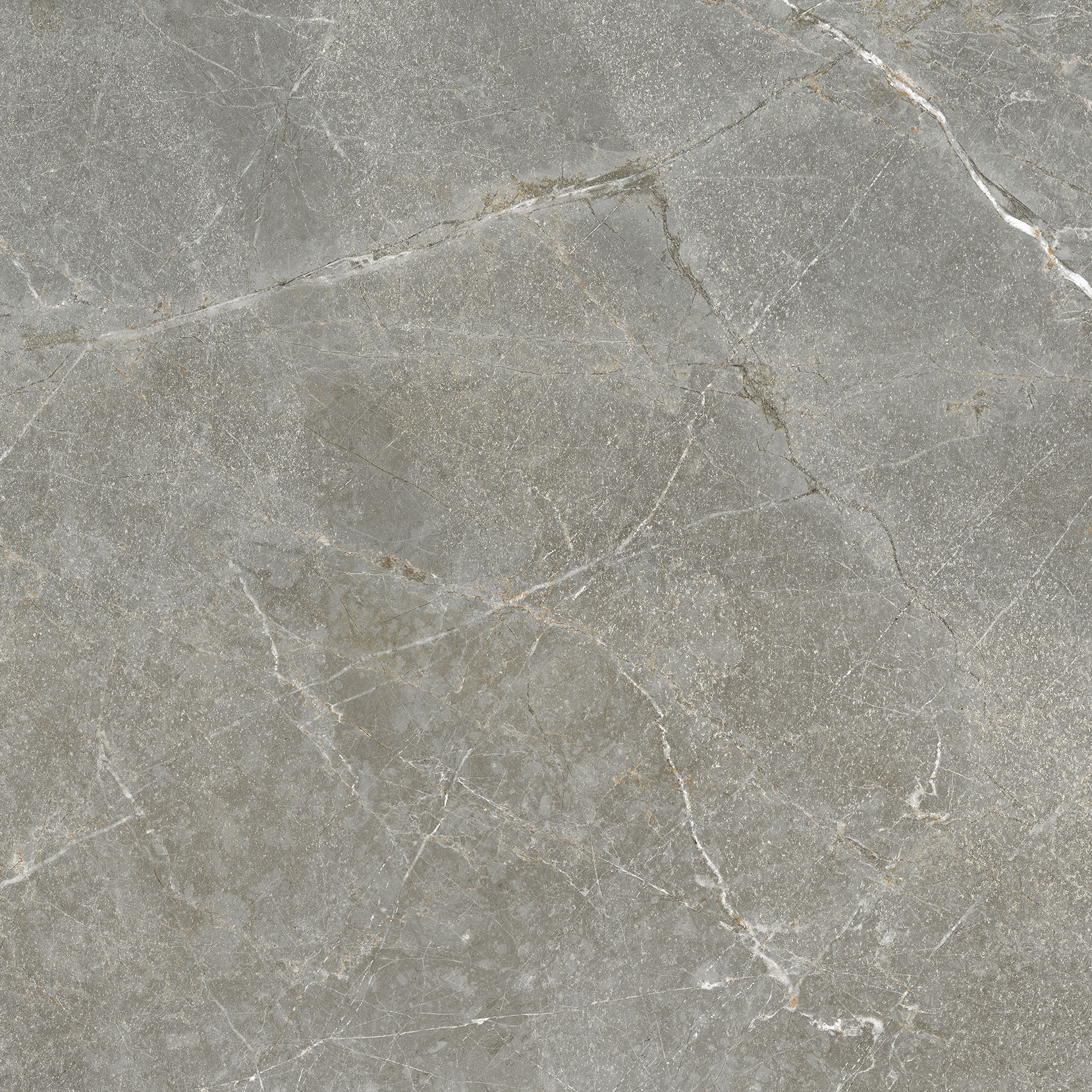 P65104RMG - Hình ảnh 3