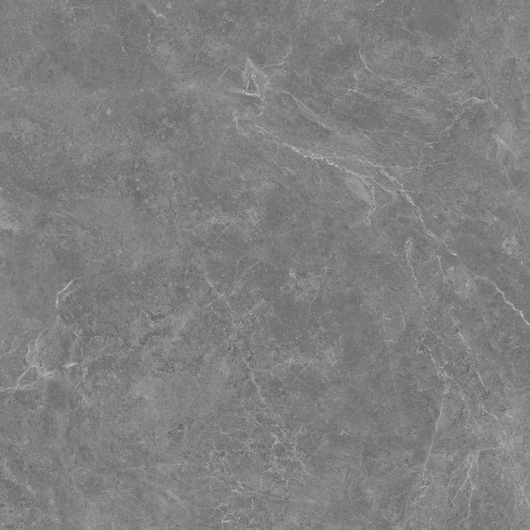 P65110RBS - Hình ảnh 3