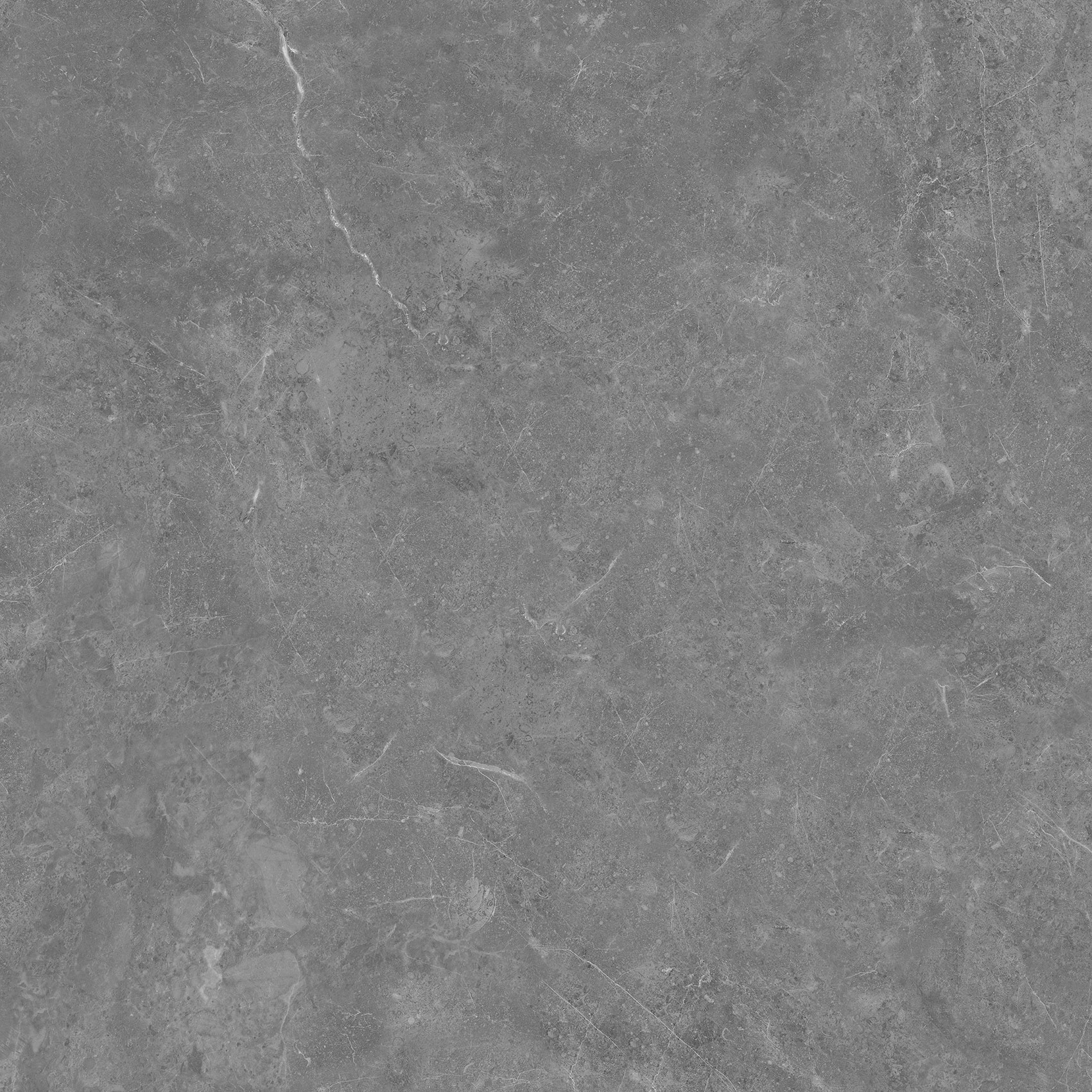 P65110RBS - Hình ảnh 7