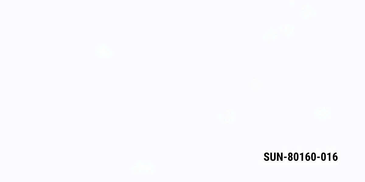 SUN-80160-016