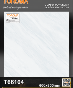 T66104