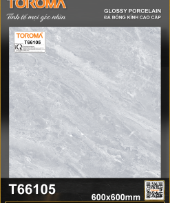 T66105