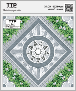 TTP641