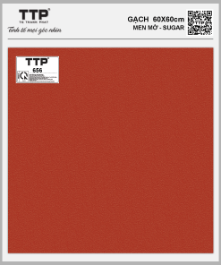 TTP656