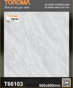 T66103