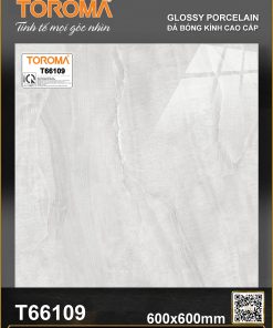 T66109