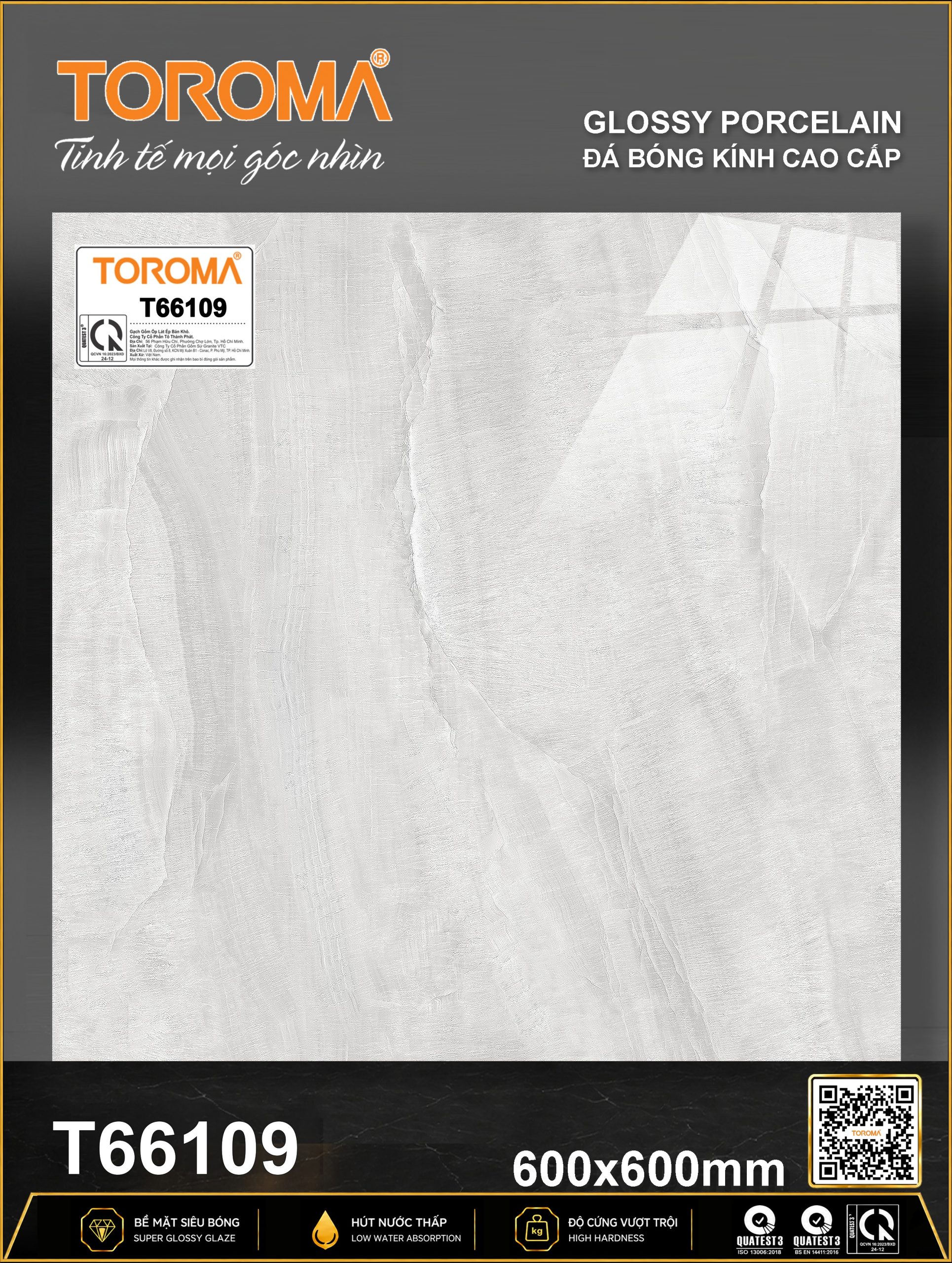 T66109