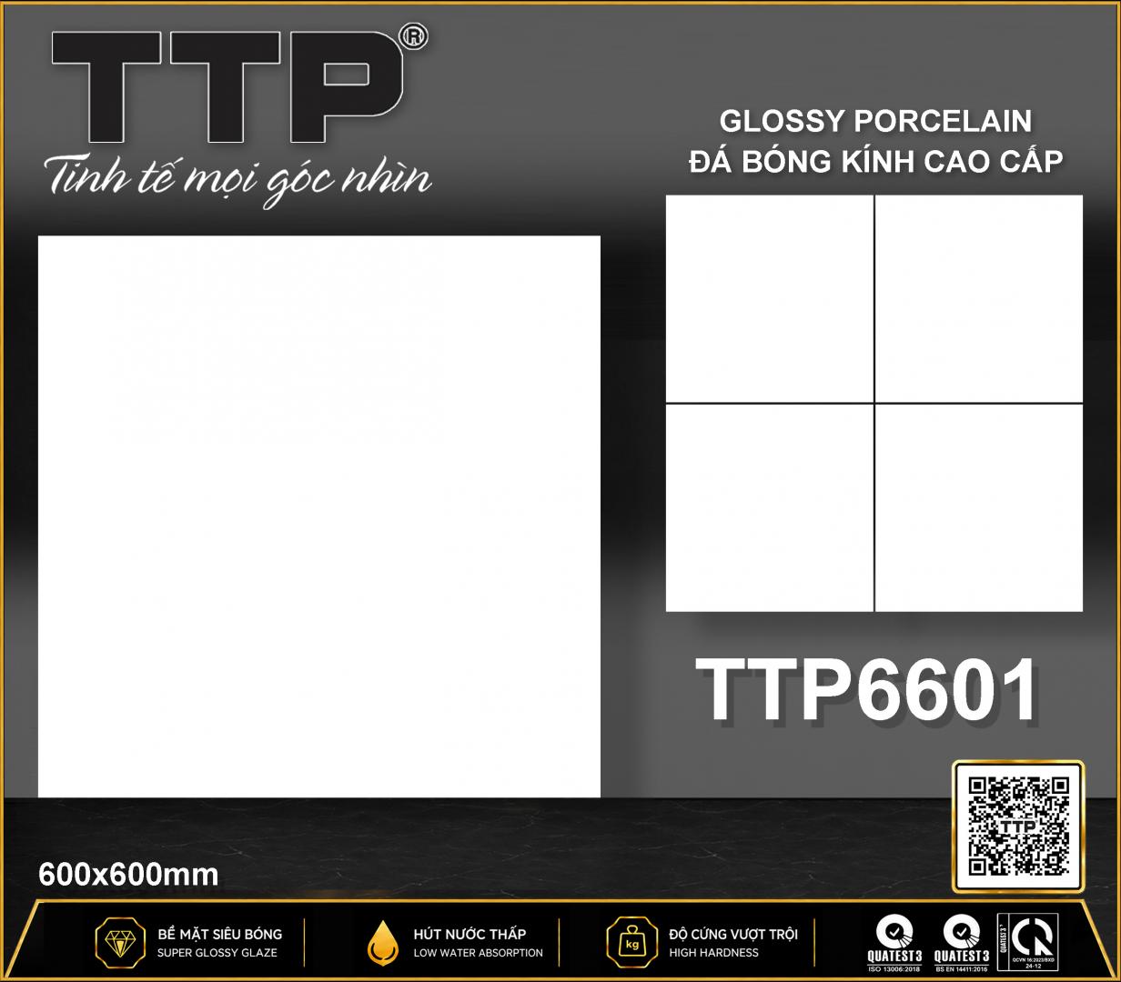 TTP6601