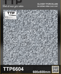 TTP6604