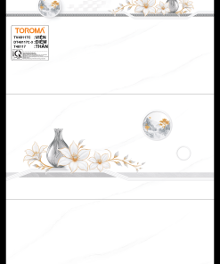 TV48117C