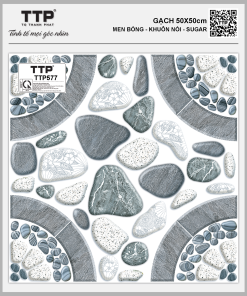 TTP577