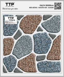 TTP579